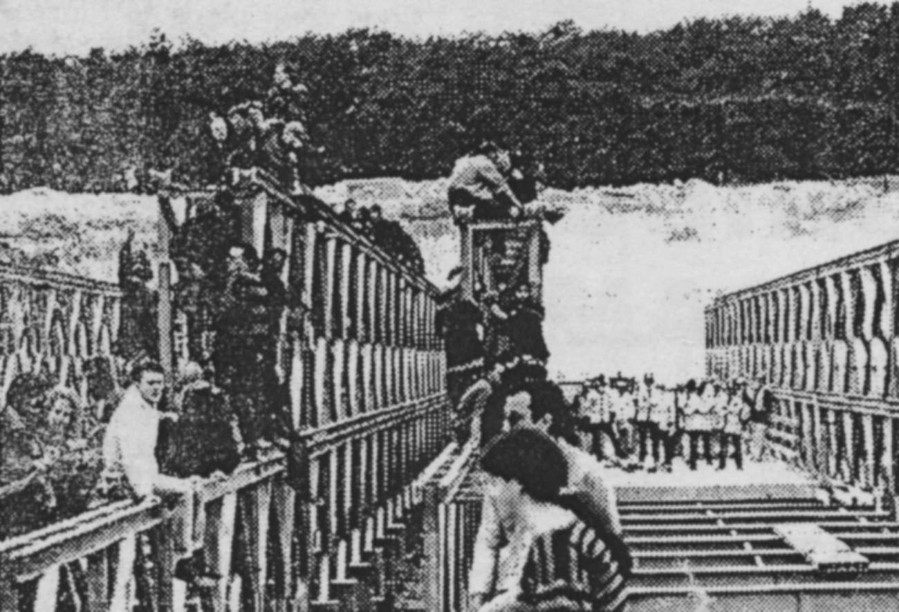 Twyford Down Road Protest