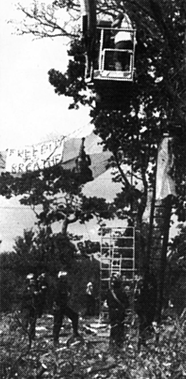 Greenmania - part of the No M11 Link Road protest