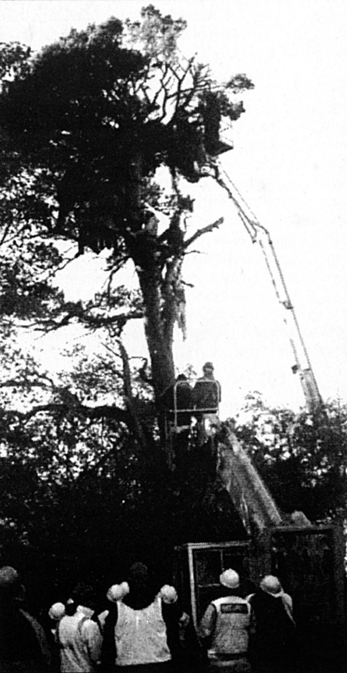 Eviction of opencast mine protesters at Brynhenllys