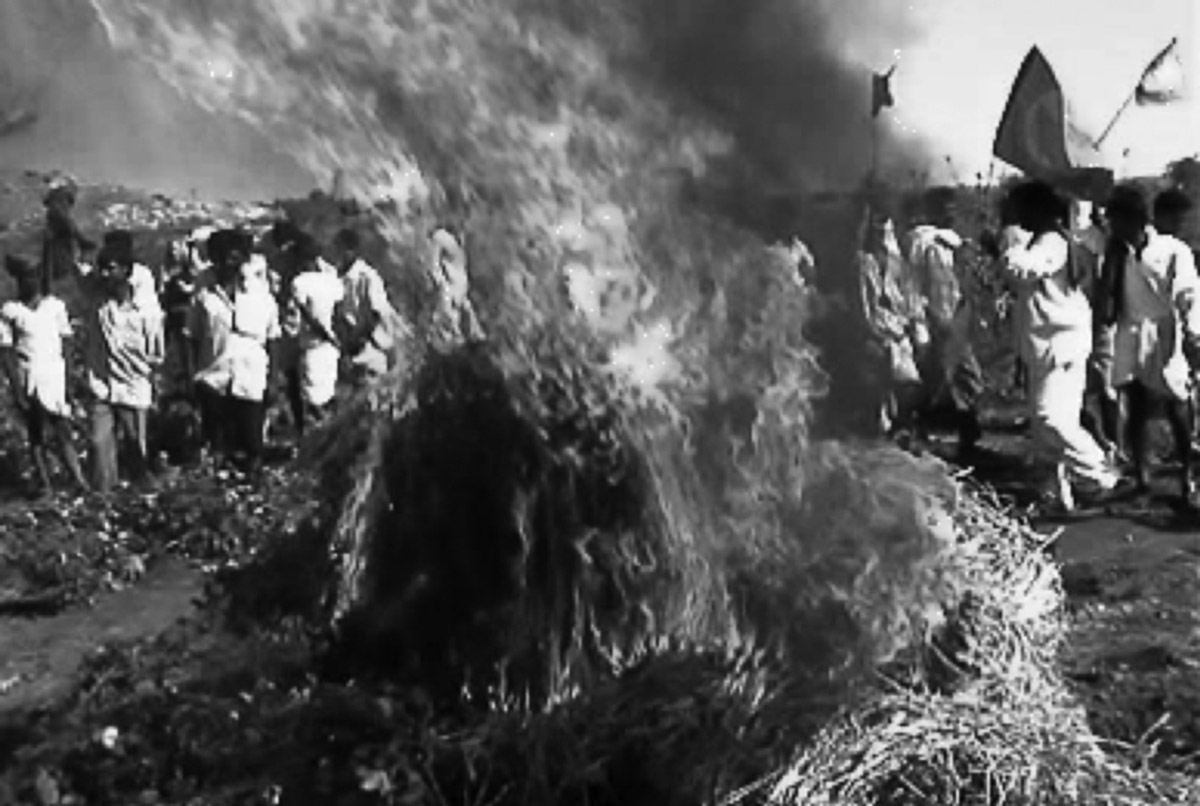 Indian Farmers Burn Genetics Test Sites