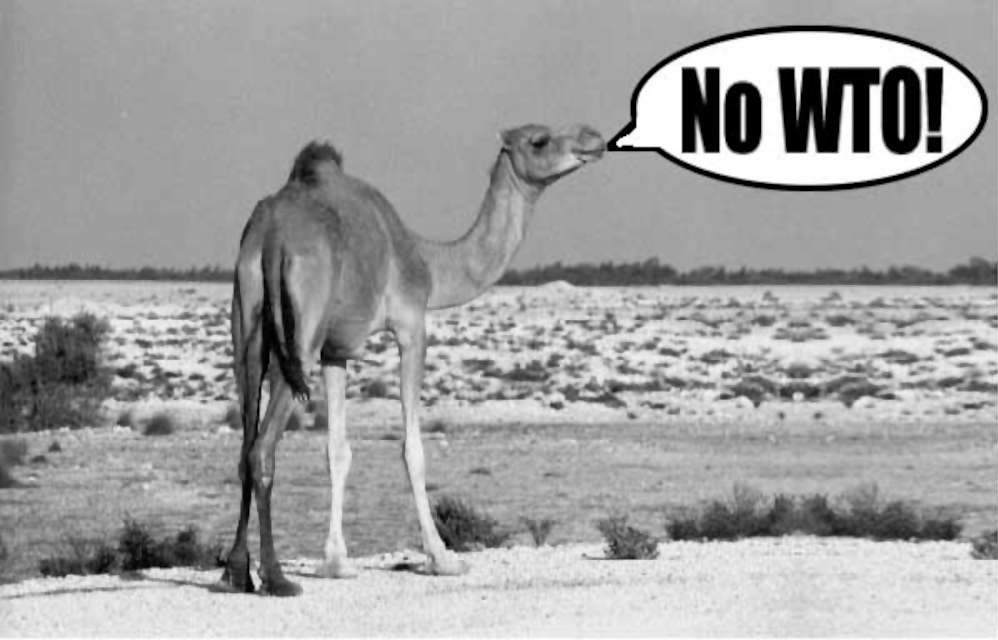 Doha WTO Summit November 2001